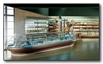Bakeries - Model Genius